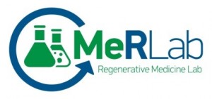 Γνωρίστε τους 10 φιναλίστ του Innovation Project 2.0: MeR Lab